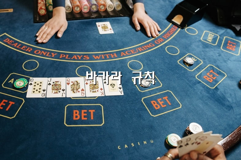 바카라 게임 규칙 가이드 - zziiu casino